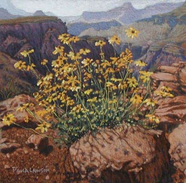 Grand Canyon Yellow Flowers