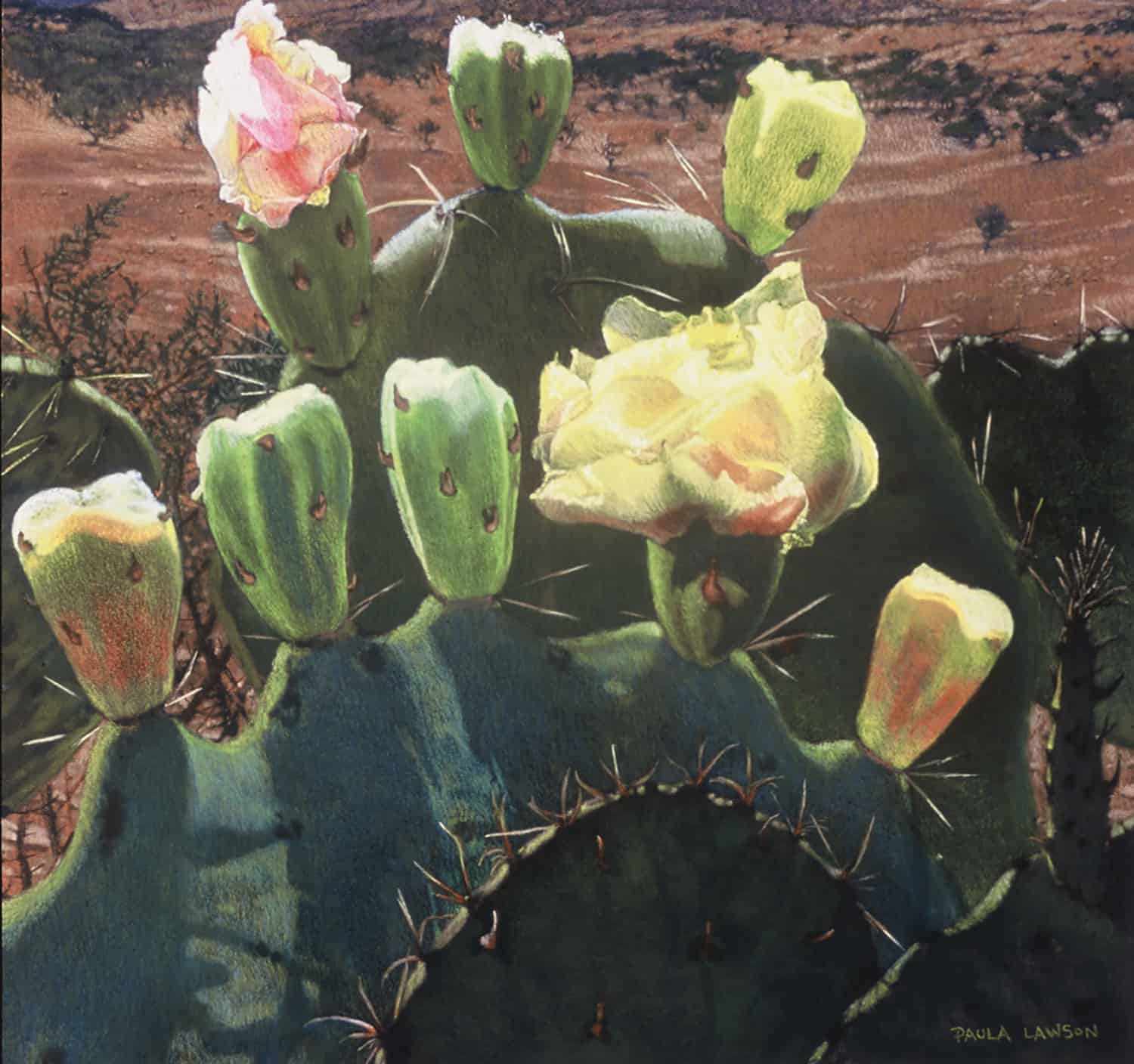 Big Bend Prickly Pear Blooms ⋆ Paula Lawson - Pastel Landscape Artist