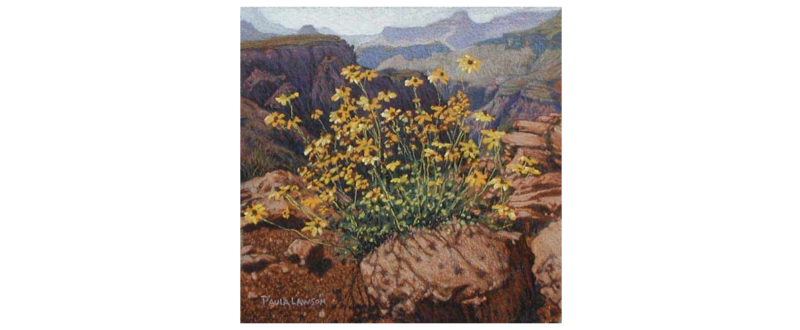 Grand Canyon Flowers - Fine Art Giclée