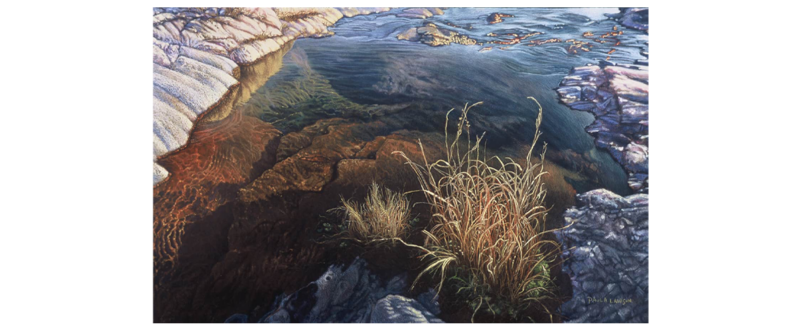 Hillcountry Stream – Original