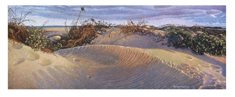 Last Light on Dunes - Fine Art Giclée