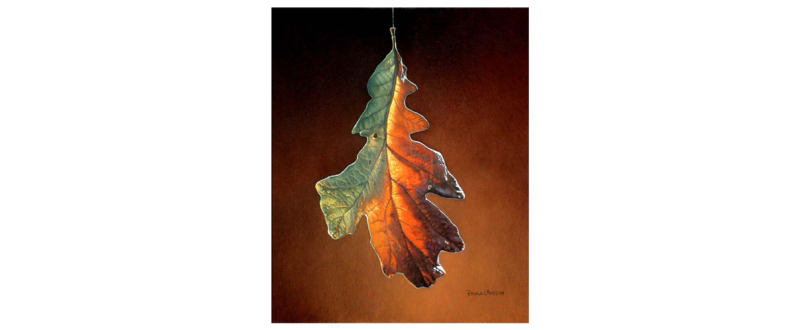 Leaf 1 – Original