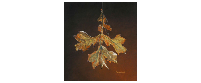 Leaf 1 - Fine Art Giclée
