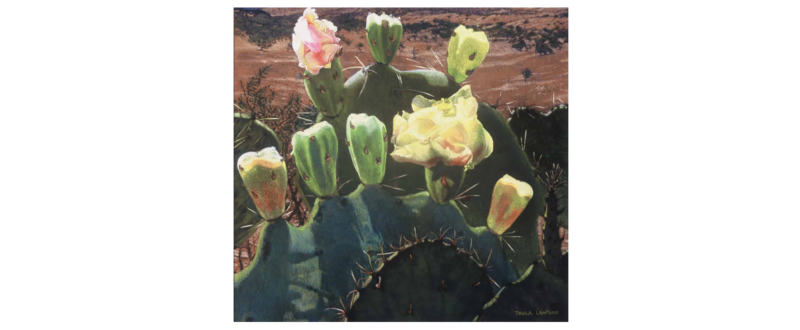 Prickly Pear Blooms in Big Bend – Original