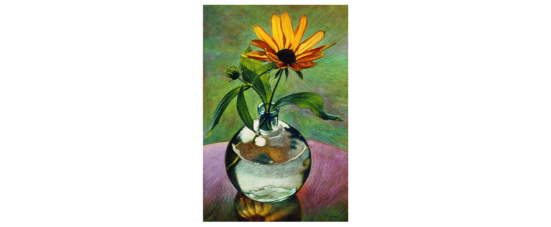 Black Eyed Susan - Fine Art Giclée