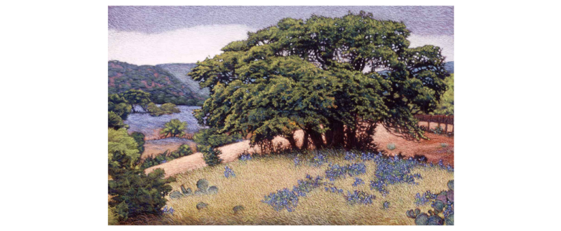 Hillcountry Spring - Fine Art Giclée