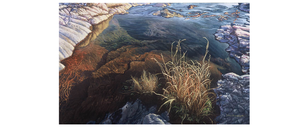 Hillcountry Stream – Original