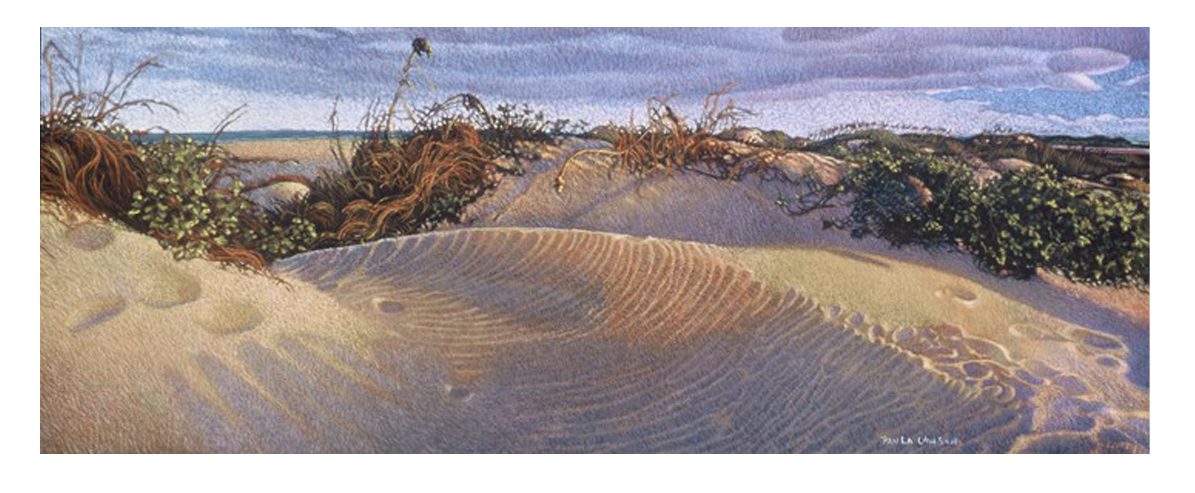 Last Light on Dunes - Fine Art Giclée