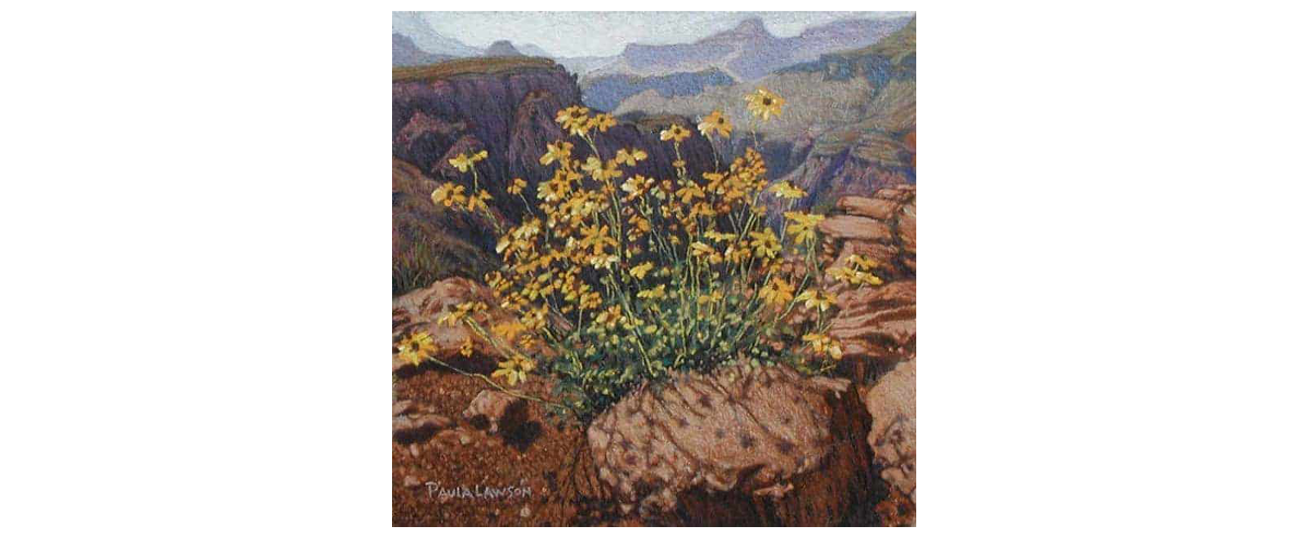 Grand Canyon Flowers – Original