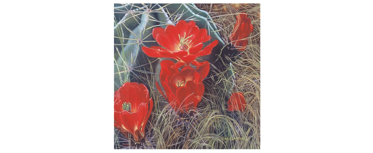 Claret Cups in Big Bend - Fine Art Giclée