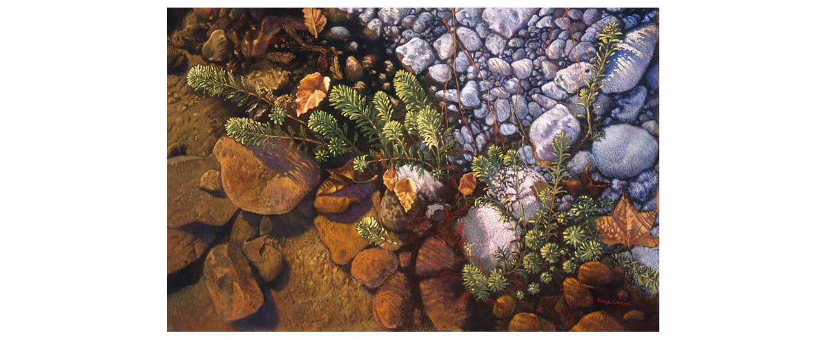 Rivers Edge - Fine Art Giclée