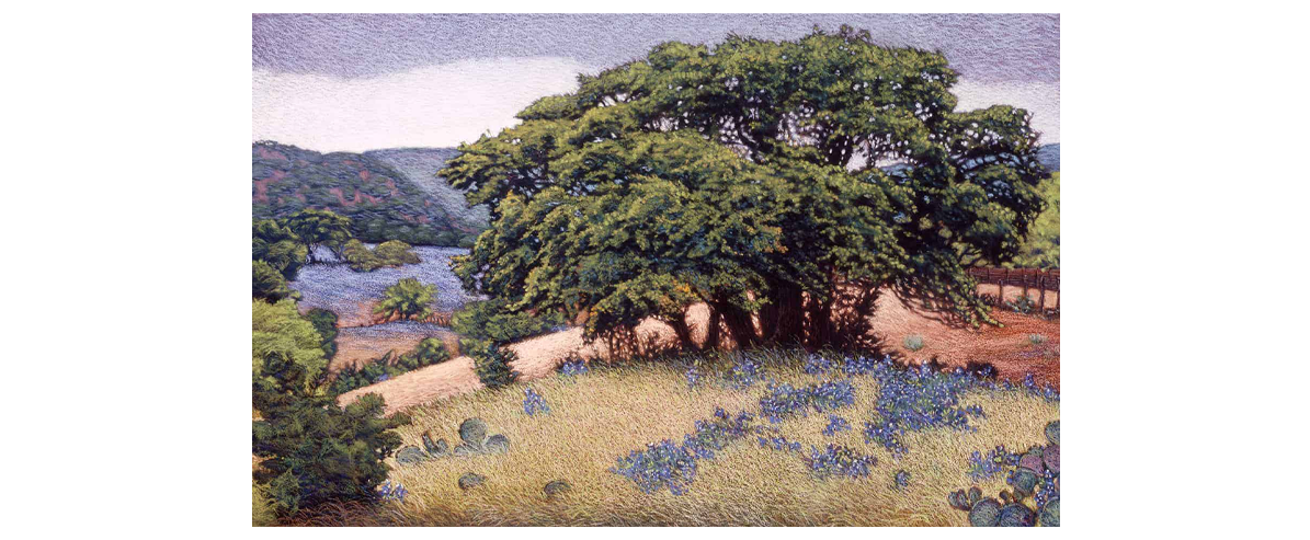 Hillcountry Spring - Fine Art Giclée