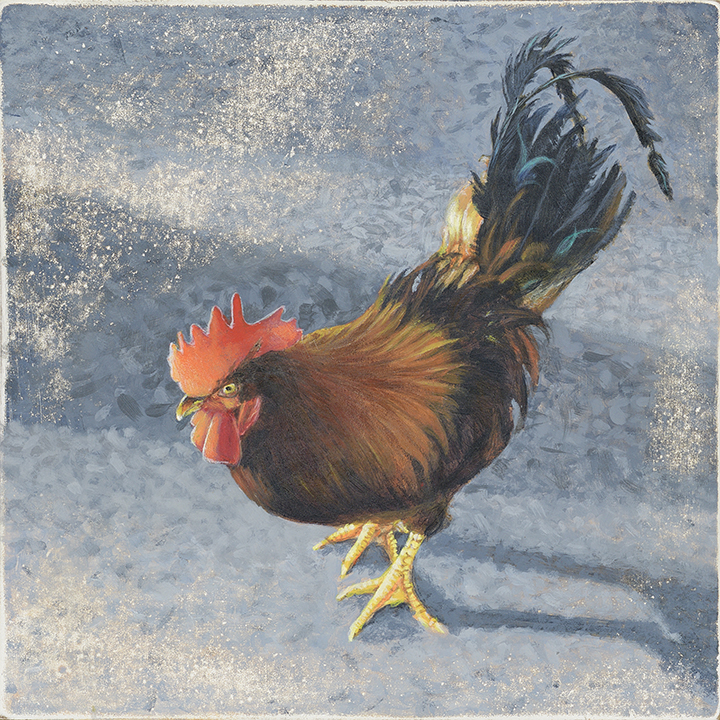 Texas Rooster